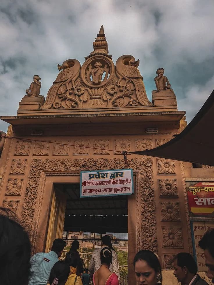 The tulsi groves of Nidhivan, Vrindavan