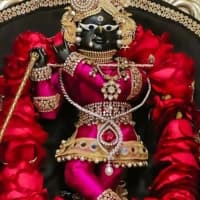 Radha Raman Ji Vrindavan